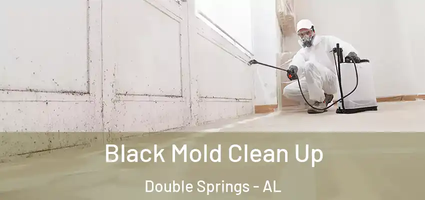  Black Mold Clean Up Double Springs - AL