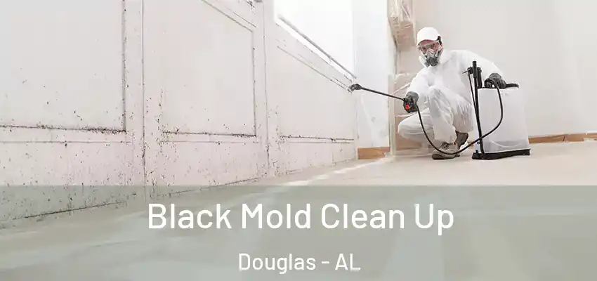 Black Mold Clean Up Douglas - AL
