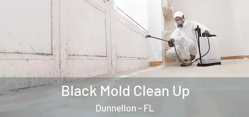  Black Mold Clean Up Dunnellon - FL