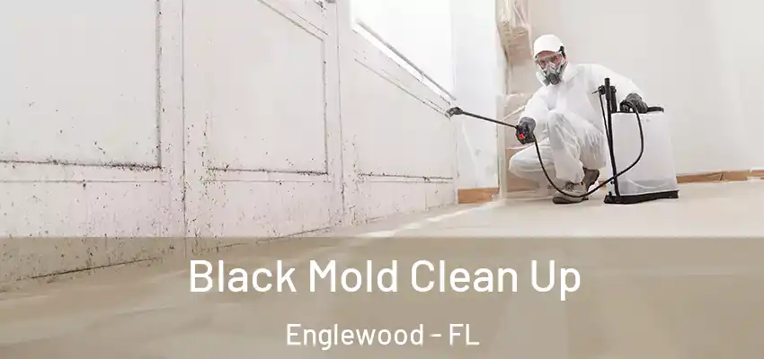  Black Mold Clean Up Englewood - FL