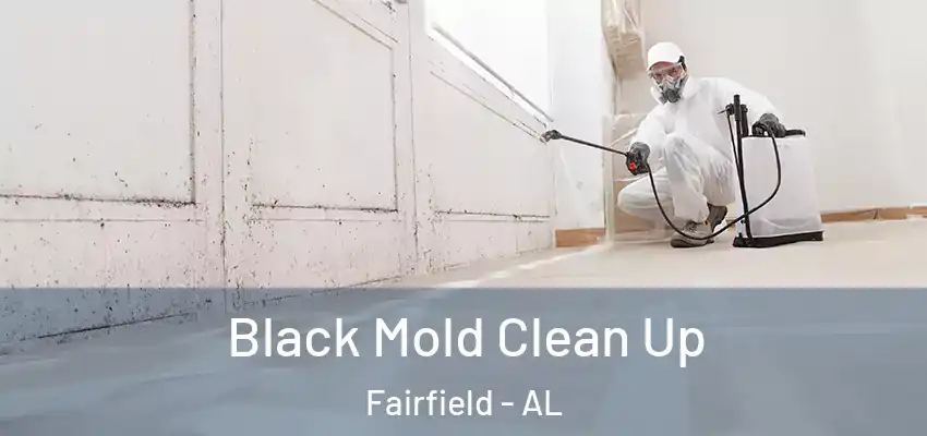  Black Mold Clean Up Fairfield - AL