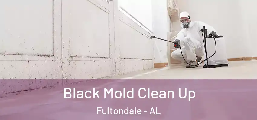  Black Mold Clean Up Fultondale - AL