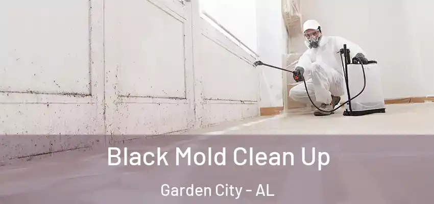  Black Mold Clean Up Garden City - AL