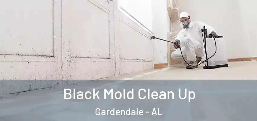 Black Mold Clean Up Gardendale - AL