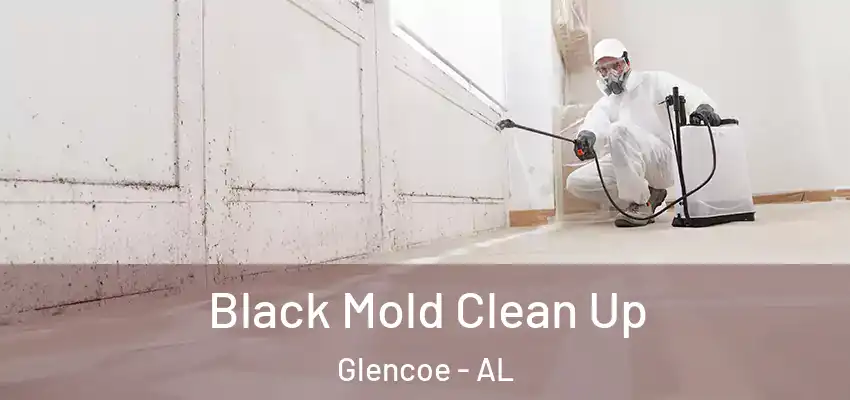 Black Mold Clean Up Glencoe - AL