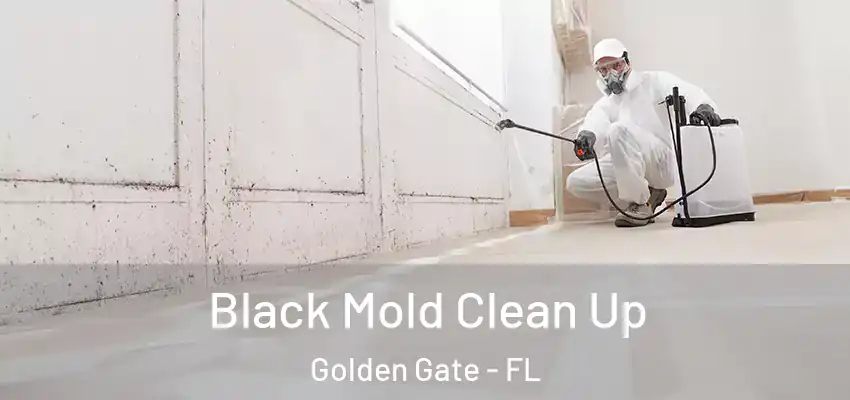  Black Mold Clean Up Golden Gate - FL