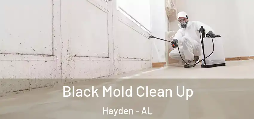 Black Mold Clean Up Hayden - AL