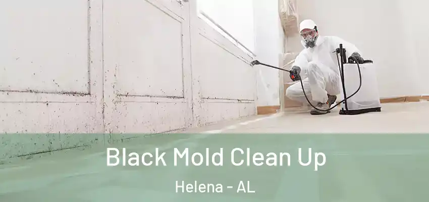 Black Mold Clean Up Helena - AL