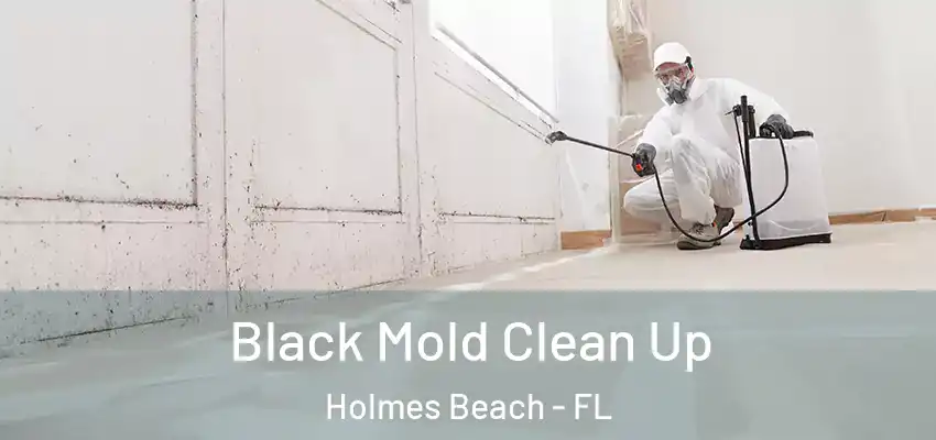 Black Mold Clean Up Holmes Beach - FL