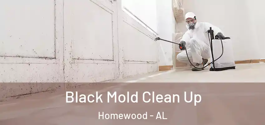 Black Mold Clean Up Homewood - AL