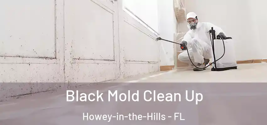 Black Mold Clean Up Howey-in-the-Hills - FL