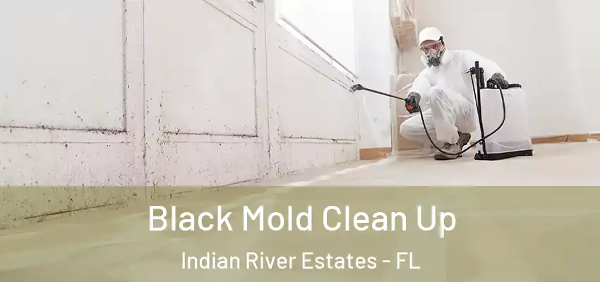  Black Mold Clean Up Indian River Estates - FL