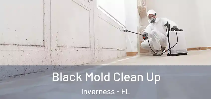 Black Mold Clean Up Inverness - FL