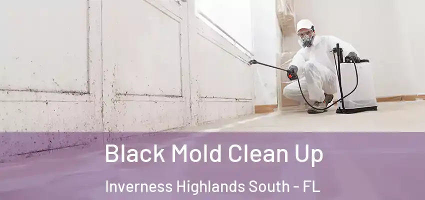 Black Mold Clean Up Inverness Highlands South - FL