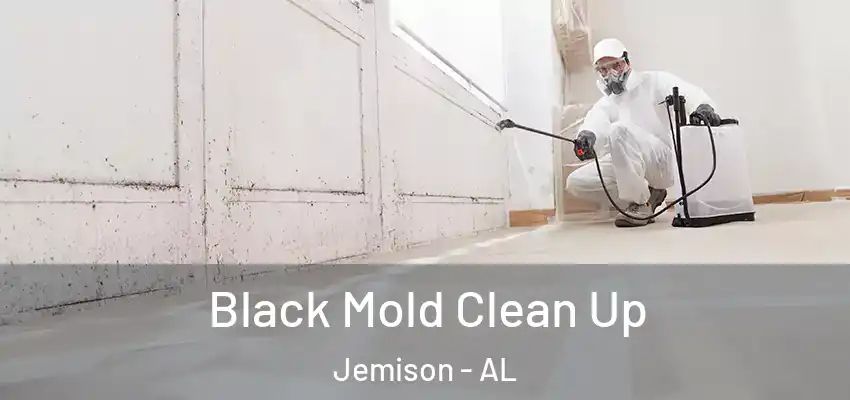 Black Mold Clean Up Jemison - AL