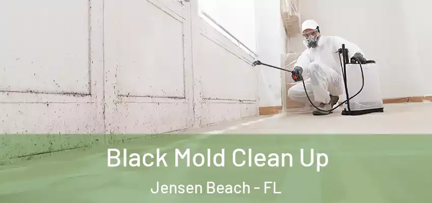 Black Mold Clean Up Jensen Beach - FL