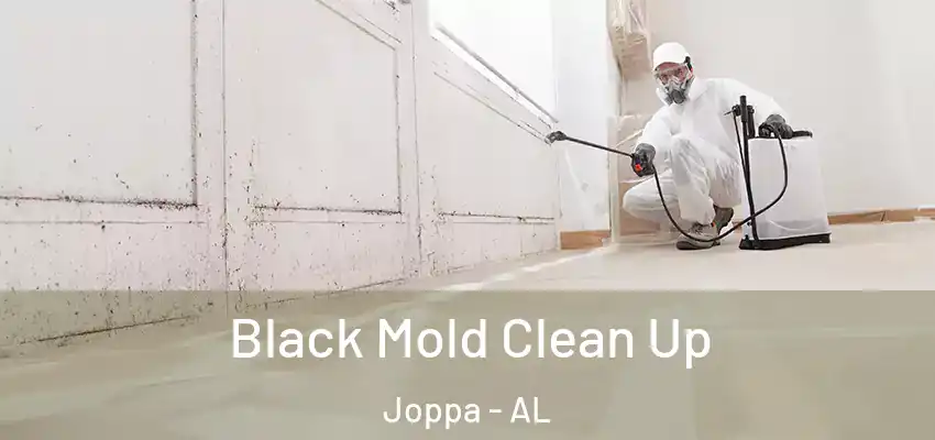 Black Mold Clean Up Joppa - AL