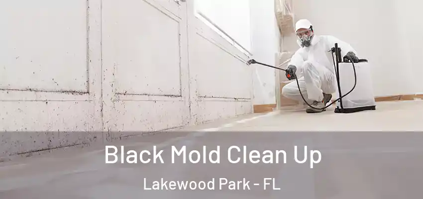 Black Mold Clean Up Lakewood Park - FL