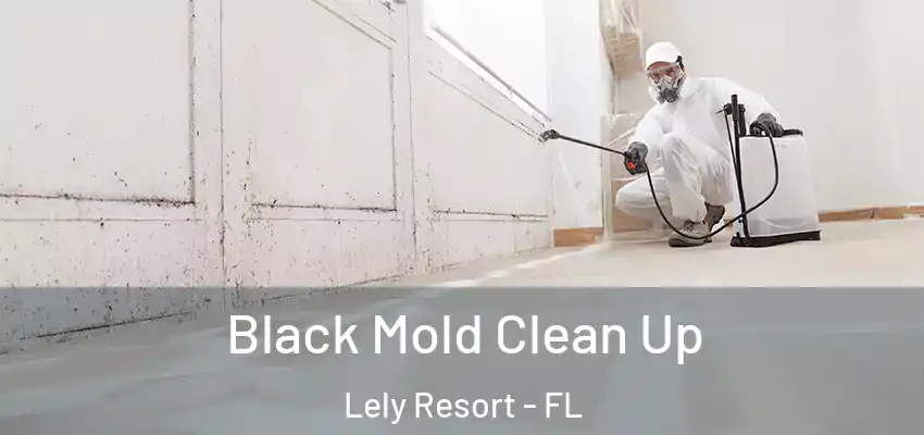 Black Mold Clean Up Lely Resort - FL