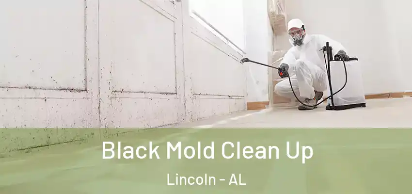  Black Mold Clean Up Lincoln - AL