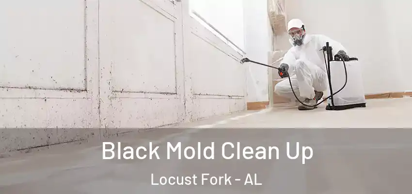 Black Mold Clean Up Locust Fork - AL