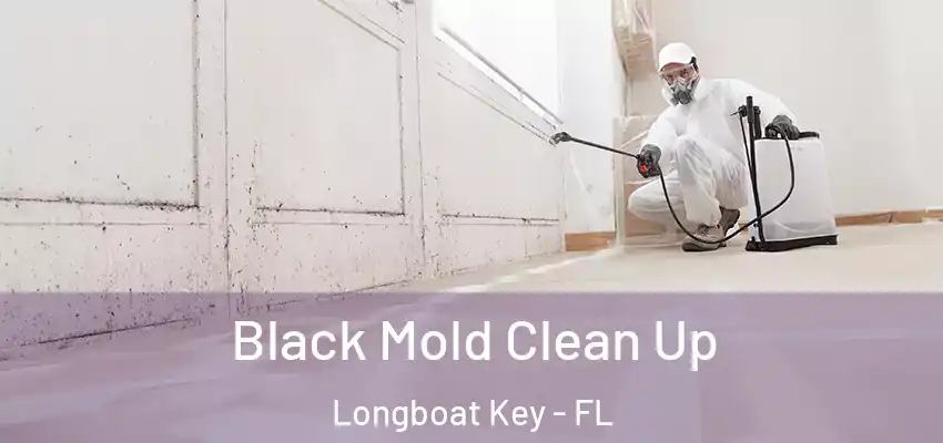  Black Mold Clean Up Longboat Key - FL