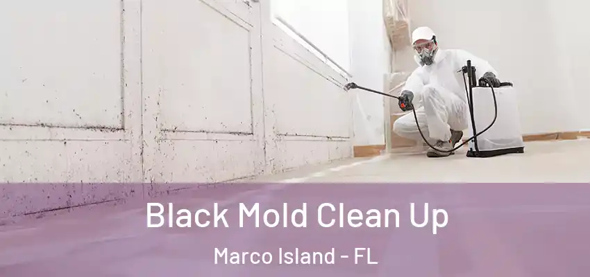 Black Mold Clean Up Marco Island - FL