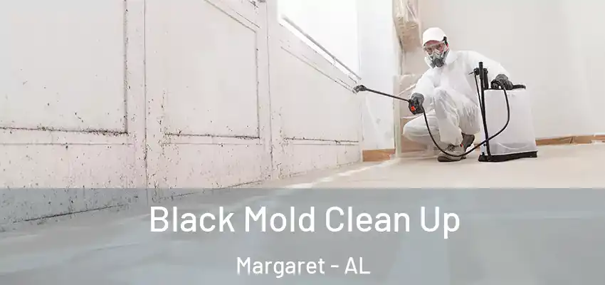  Black Mold Clean Up Margaret - AL