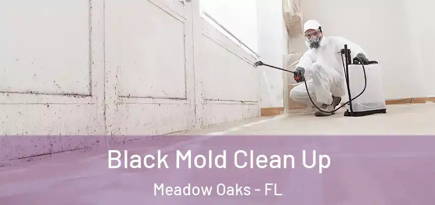 Black Mold Clean Up Meadow Oaks - FL