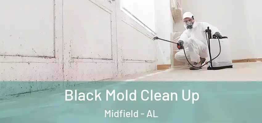 Black Mold Clean Up Midfield - AL