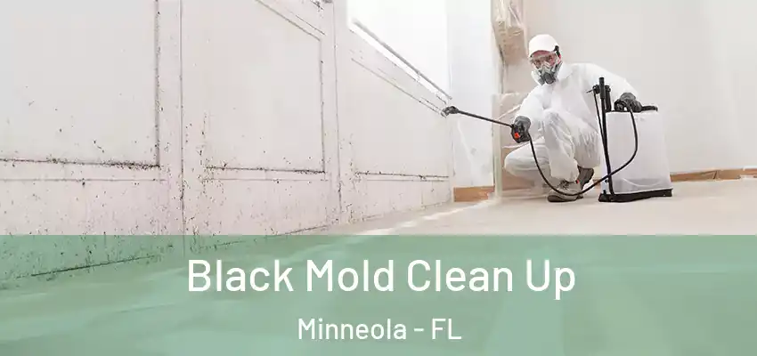  Black Mold Clean Up Minneola - FL