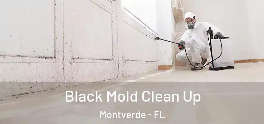 Black Mold Clean Up Montverde - FL