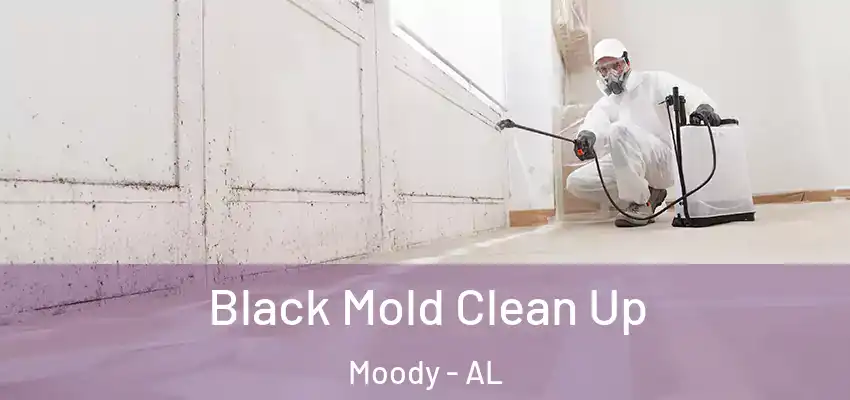  Black Mold Clean Up Moody - AL
