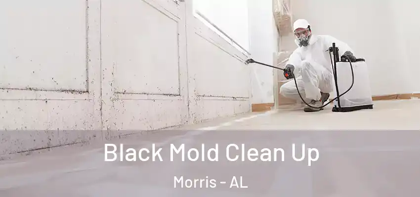 Black Mold Clean Up Morris - AL