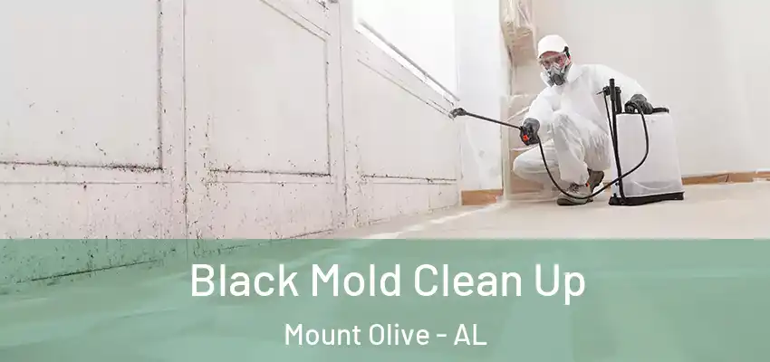 Black Mold Clean Up Mount Olive - AL