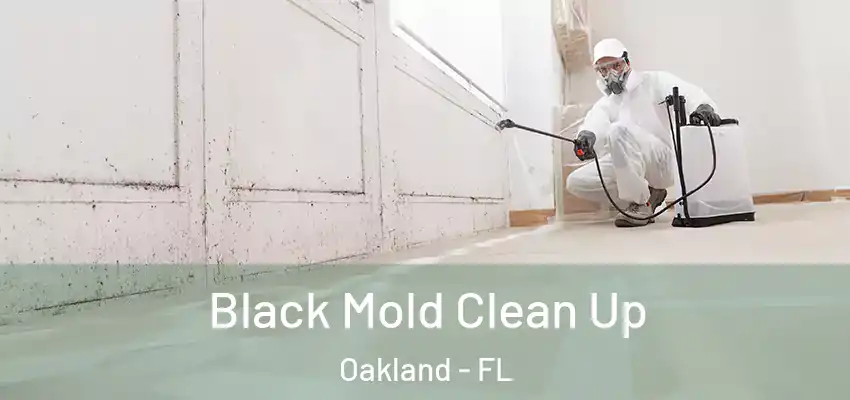 Black Mold Clean Up Oakland - FL