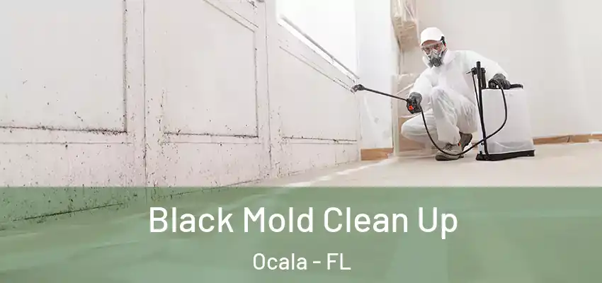 Black Mold Clean Up Ocala - FL