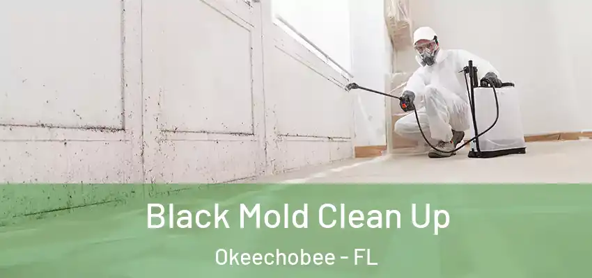 Black Mold Clean Up Okeechobee - FL