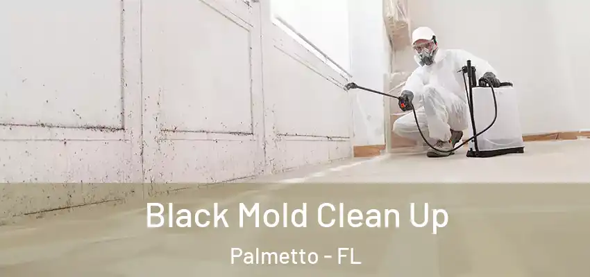 Black Mold Clean Up Palmetto - FL