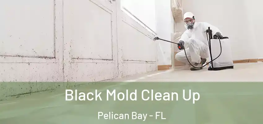  Black Mold Clean Up Pelican Bay - FL