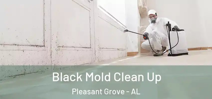 Black Mold Clean Up Pleasant Grove - AL