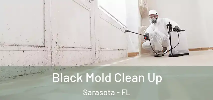 Black Mold Clean Up Sarasota - FL