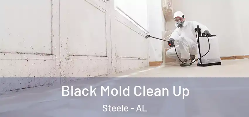 Black Mold Clean Up Steele - AL