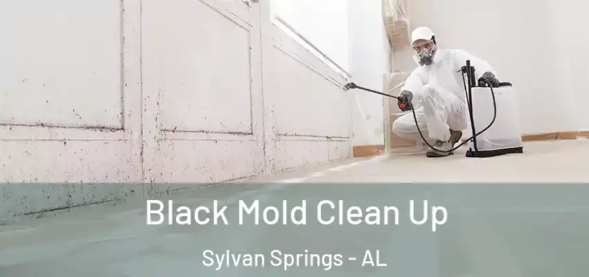  Black Mold Clean Up Sylvan Springs - AL