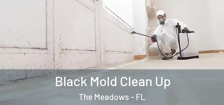 Black Mold Clean Up The Meadows - FL