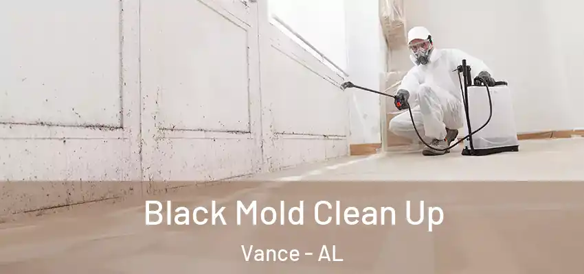 Black Mold Clean Up Vance - AL