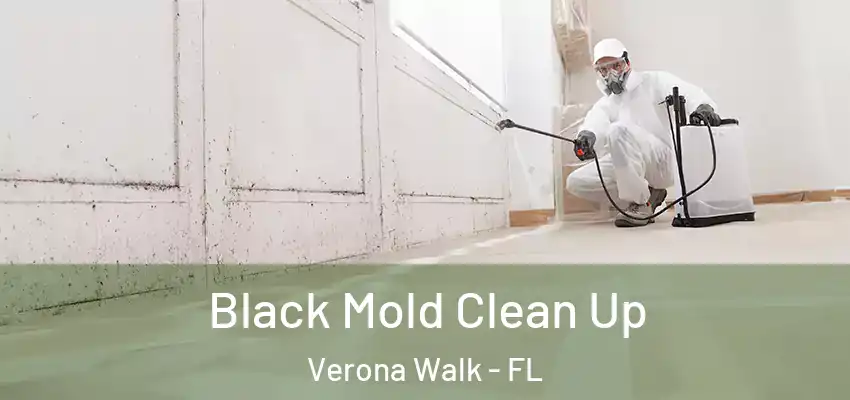 Black Mold Clean Up Verona Walk - FL
