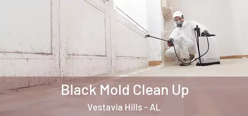 Black Mold Clean Up Vestavia Hills - AL