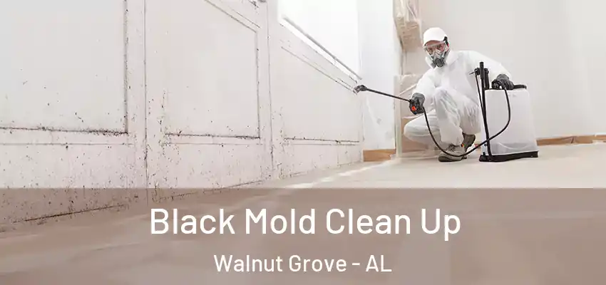 Black Mold Clean Up Walnut Grove - AL