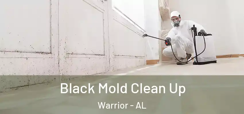 Black Mold Clean Up Warrior - AL
